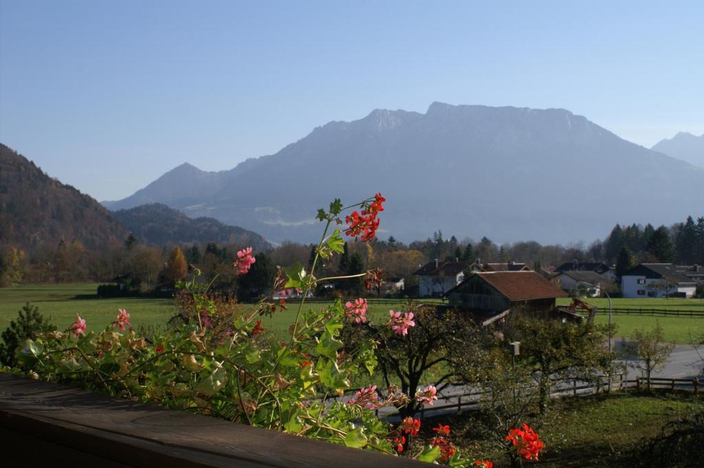 Alpenhof Landhotel Restaurant Oberaudorf Bilik gambar