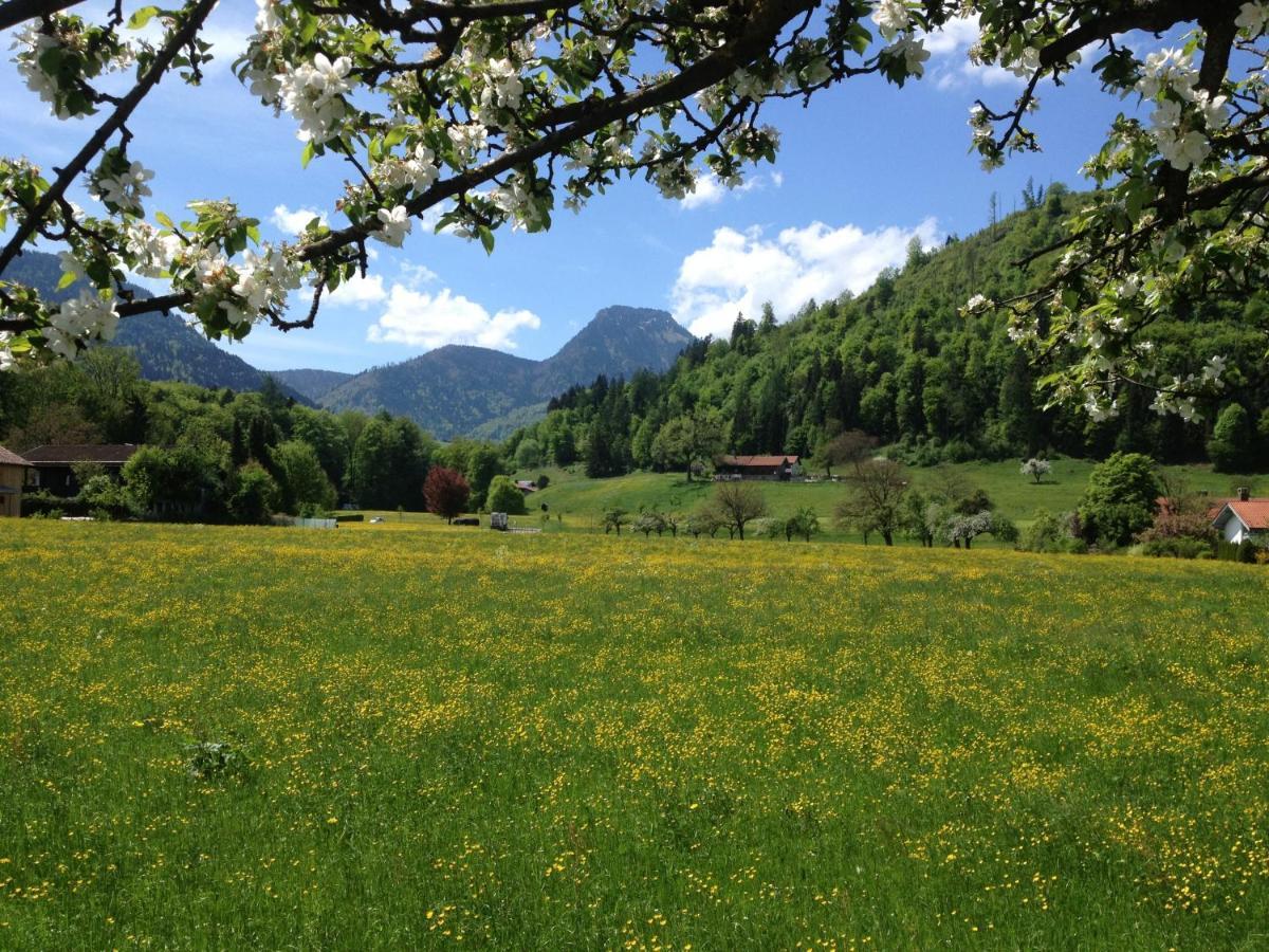 Alpenhof Landhotel Restaurant Oberaudorf Luaran gambar